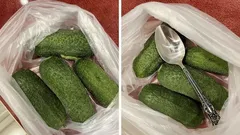 Křupavé okurky až 10 dní? To vše díky obyčejné lžíci