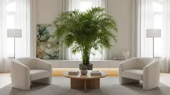 Jak vypěstovat bujnou palmu doma: jednoduchá pravidla, která opravdu fungují