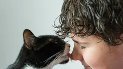 Kočičí zvyky: proč olizování není jen projevem náklonnosti